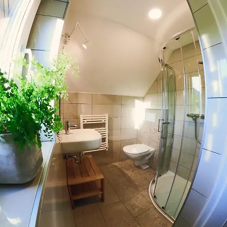 Apartma Petra Ravnik - Wanderer's Hut Bohinj